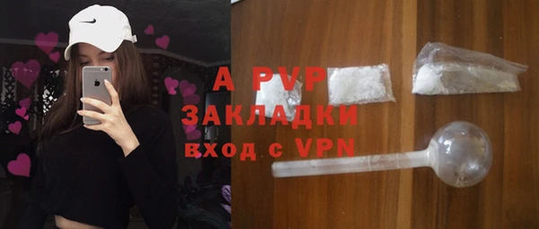 дживик Карпинск