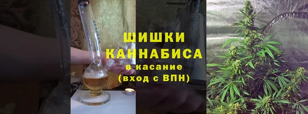дживик Карпинск